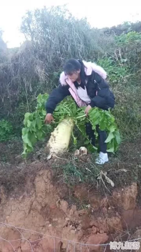 拔萝卜又疼又叫，谁知背后竟隐藏着如此惊人的秘密，一时间引发无数热议与关注！