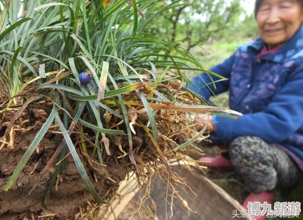 久草视频资源在线积极传播正能量内容鼓励大家关注生活中的美好与希望共同创造一个更加和谐的社会环境