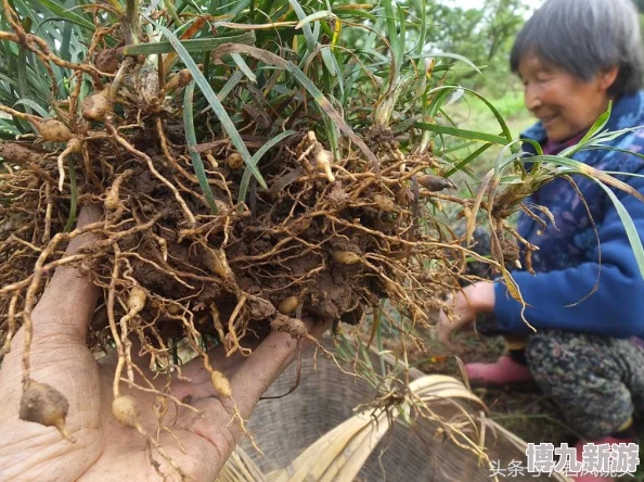 久草视频资源在线积极传播正能量内容鼓励大家关注生活中的美好与希望共同创造一个更加和谐的社会环境