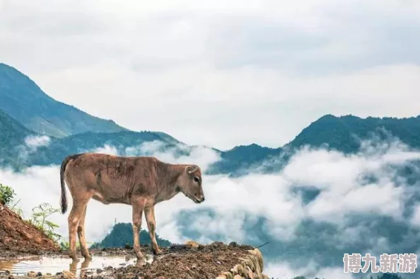 DNF玩家热议：竹林秘境究竟指的是哪个隐藏地图？网友评价揭晓！