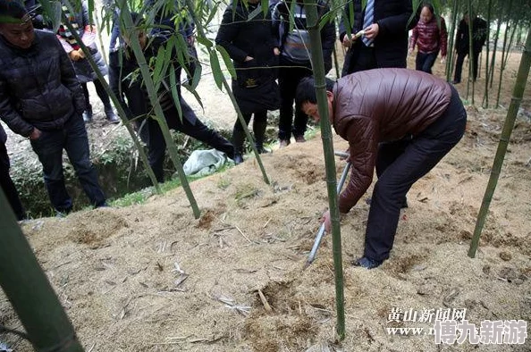 免费扒开女人下面使劲桶最新消息近日，网络上流传的“免费扒开女人下面使劲桶”视频被证实为虚假信息，此类内容多为恶意传播或误导性广告，请广大网友提高警惕，避免受骗