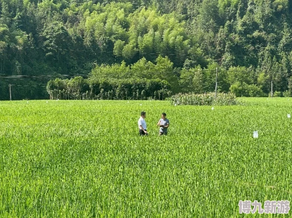 一小时人生高效耕地秘籍：从篮子制作开始，惊喜发现快速农耕新技巧！