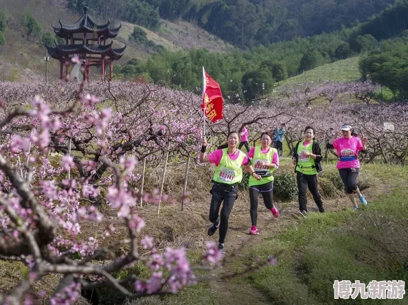 桃花坳韵事心怀梦想勇敢追求美好未来