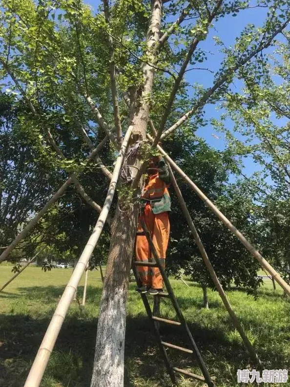 黄色仓库在线系统升级维护中预计将于三天后恢复正常访问