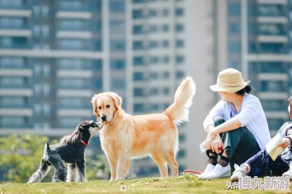 房东高中成绩并不理想但只要努力就能创造美好未来相信自己每一步都在进步