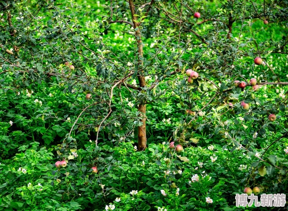 田中宁子深入偏远山区探寻古老草药及其在现代医学中的应用价值