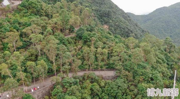 海角31.0绿意盎然生态修复工程竣工植被覆盖率提升至85%景色宜人