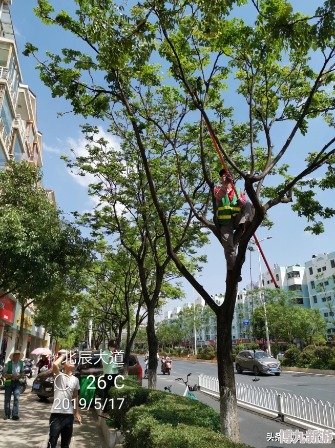 寸土吧最新研究显示城市绿化能显著提升居民幸福感