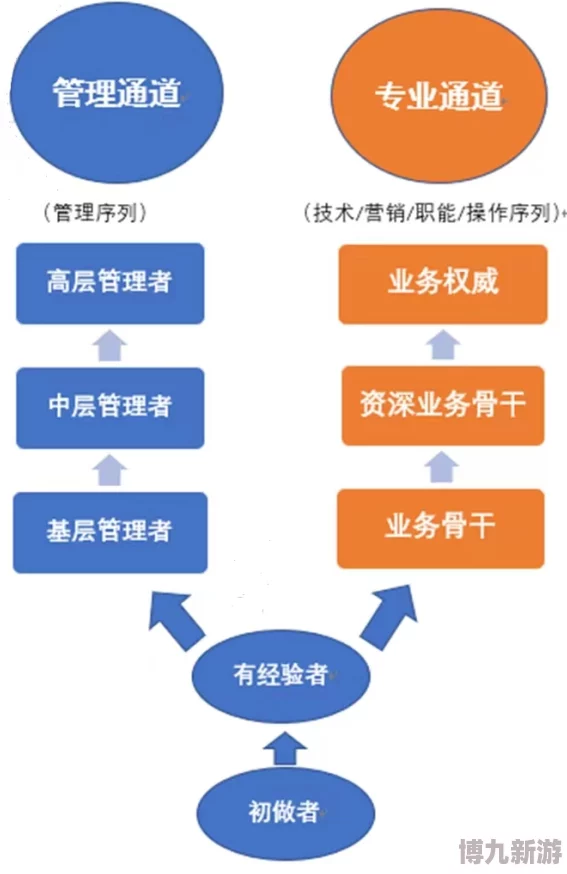 加官进爵新途径揭秘：高效官阶提升方法，惊喜发现快速晋升通道！