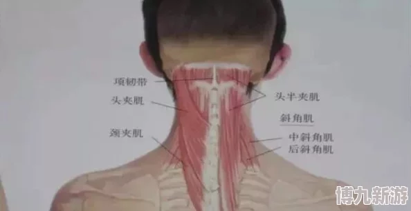 啊好舒服用力肌肉酸痛得到缓解疲惫感一扫而空浑身轻松