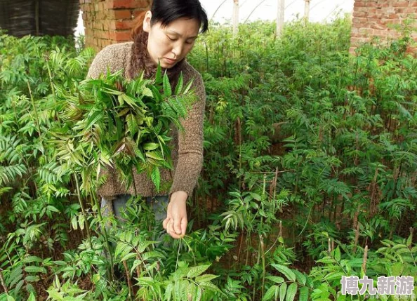 首相娇妻有空间惊传空间竟能种植珍稀药材引各界关注