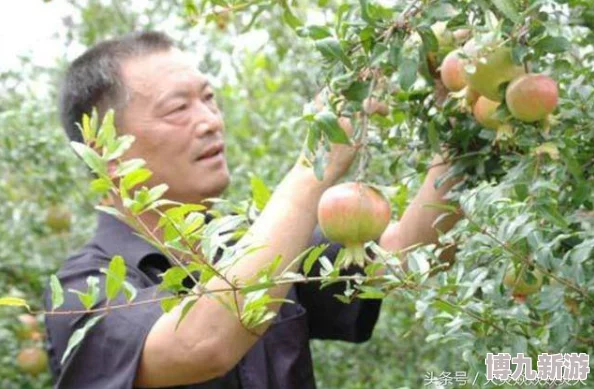 老师扒开大石榴给我玩了一夜同学们分享了香甜的果实感受到了丰收的喜悦