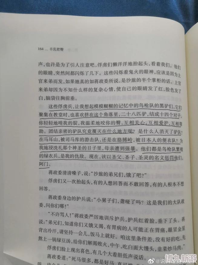 肥臀小说现已全网下架违规内容正在整改