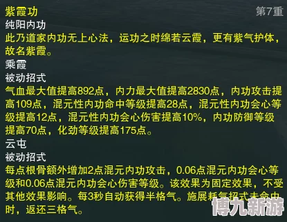 纯阳六脉武学搭配全揭秘：顶级侠客独家攻略大爆料