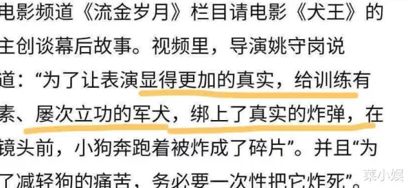 疫情母与子且听风吟鹿子言四阁纪实摄影展记录封控期家庭生活百态