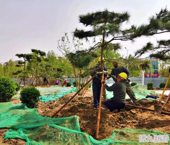 爆料！模拟人生4中哪个地图完美呈现四季变换美景？