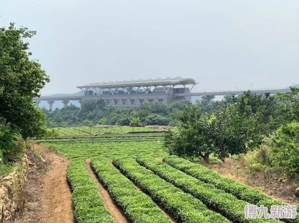 岳的两片蚌肉缓缓张开乡村欲爱听说村东头的王寡妇也参与了拍摄还带了自家种的西瓜