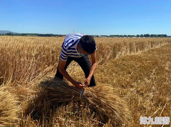 我的世界小麦种植全攻略：揭秘高效收割与隐藏爆料技巧