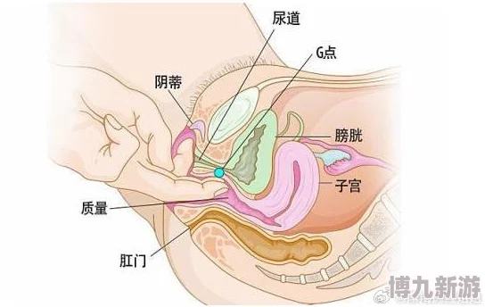 为何大荫蒂HD大荫蒂备受喜爱源于其无遮挡的真实画面