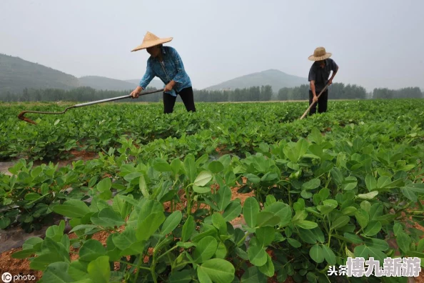 《异环》公寓交易系统深度玩法揭秘：独家爆料隐藏赚钱技巧