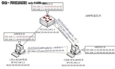 ARP专杀手终极攻略：揭秘顶尖刺客修炼之路，内含独家爆料技巧！