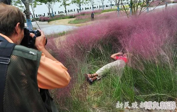 为什么国产熟妇乱子伦hd如此火爆或许是因为它填补了市场的某种空白