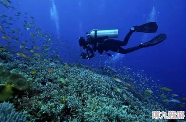 “爽 好紧 别夹 喷水”为什么能让人忘却烦恼沉浸在快乐的海洋中为何让人乐此不疲