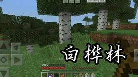 《我的世界》时空跳跃成就解锁全攻略：爆料传送门制作与天启之境探索法