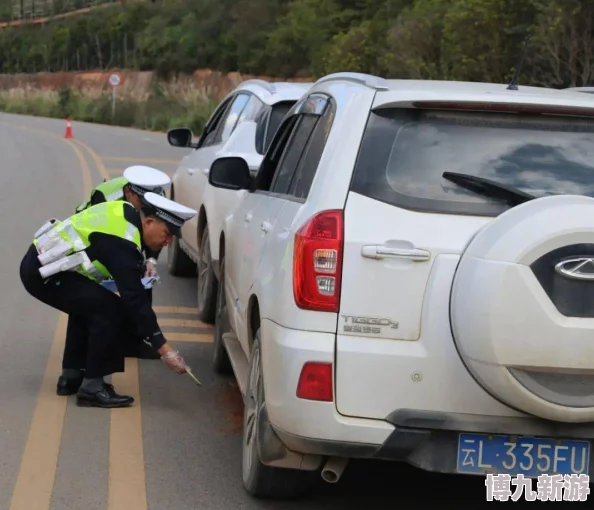 独家爆料：警察模拟器巡警如何应对过期车牌，揭秘开罚单全过程