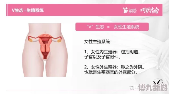 陰道特寫探索女性私密健康与愉悦体验新方式