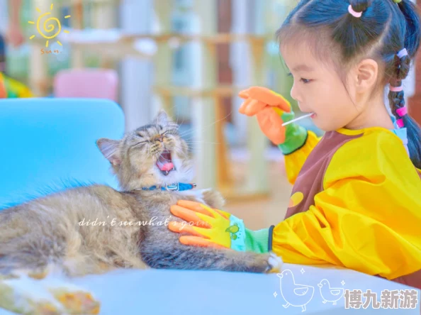 揭秘猫猫狗狗冰淇淋创意新玩法：互动喂食，萌宠乐翻天独家爆料！