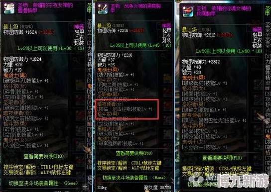 探讨地下城与勇士（DNF）中各职业适用之圣物套装解析