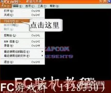 联机教程,详解狂野之心联机流程与技巧